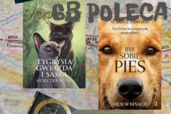 6b poleca